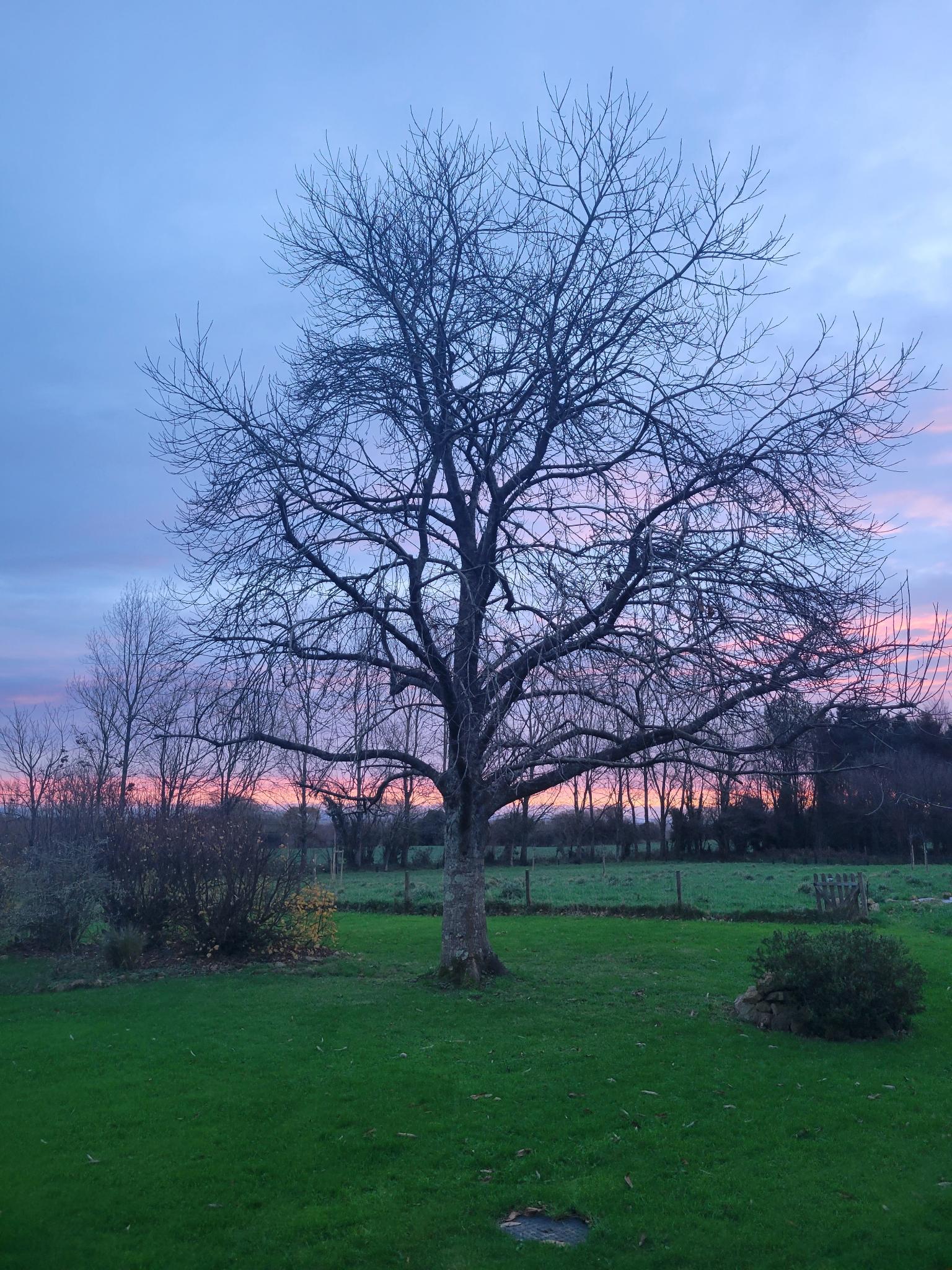 Vue de la maison et son jardin